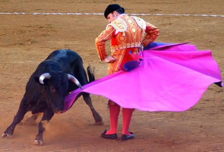 bullfight